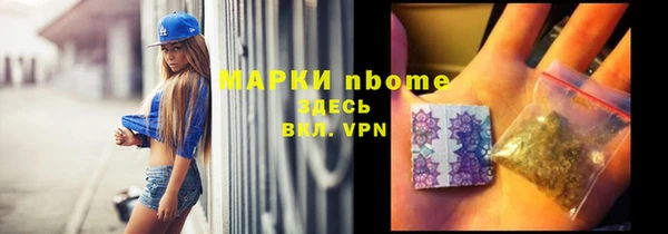 прущие грибы Зеленокумск