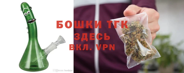прущие грибы Зеленокумск